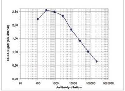 ELISA: Histone H3 [Trimethyl Lys9] Antibody [NBP2-59152] - To determine the titer of the antibody, an ELISA was performed using a serial dilution of the antibody directed against H3K9me3. The antigen used was a peptide containing the histone modification of interest. By plotting the absorbance against the antibody dilution, the titer of the antibody was estimated to be 1:35,000.